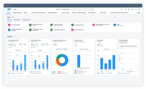 Pantallazo de SAP S/4HANA
